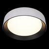 Миниатюра фото потолочный светильник  loft it coin 10202 wb | 220svet.ru