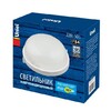 Миниатюра фото потолочный светильник (ul-00006771) uniel uwl-r01 100w/e27 ip54 white | 220svet.ru