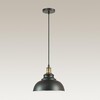 Миниатюра фото подвесной светильник lumion dario 3675/1 | 220svet.ru