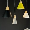 Миниатюра фото подвесной светильник imperium loft xd-a 178205-26 | 220svet.ru