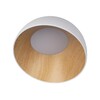 Миниатюра фото потолочный светильник loft it egg 10197/350 white | 220svet.ru