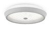 Миниатюра фото потолочный светодиодный светильник freya cells fr10012cl-l24w | 220svet.ru