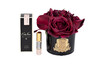 Миниатюра фото диффузор five rose red garda decor 96cn-rb64 | 220svet.ru