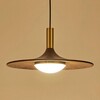 Миниатюра фото подвесной светодиодный светильник imperium loft thea 189875-23 | 220svet.ru