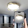 Миниатюра фото потолочный светильник imperium loft maaret d40 brass 223932-23 | 220svet.ru