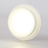 Миниатюра фото потолочный светильник ambrella light tn5383 | 220svet.ru