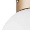 Миниатюра фото настенно-потолочный светильник lightstar globo 812013 | 220svet.ru