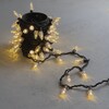 Миниатюра фото гирлянда «шишки» 10м тепло-белая 220в, 100 led, провод черный каучук 2,3мм, ip65 ltc cn100-2-2ww | 220svet.ru