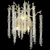 Миниатюра фото бра velante 185-301-03 | 220svet.ru