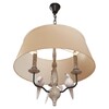 Миниатюра фото подвесной светильник loft it birds loft1029a-2 | 220svet.ru