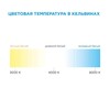 Миниатюра фото светодиодная лента apeyron 14,4w/m 60led/m 5050smd холодный белый 2,5m 10-12 | 220svet.ru