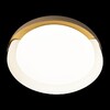 Миниатюра фото потолочный светильник loft it coin 10198 white | 220svet.ru