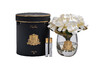 Миниатюра фото диффузор magnolia white , спрей winter in chatou 2*10ml garda decor 96cn-rg0005 | 220svet.ru