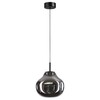 Миниатюра фото подвесной светильник светодиодный odeon light vaso 5097/4lc черный | 220svet.ru