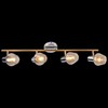 Миниатюра фото спот reluce 05949-0.8-04 cr+gold | 220svet.ru