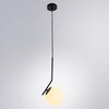 Миниатюра фото подвесной светильник arte lamp bolla-unica a1923sp-1bk | 220svet.ru