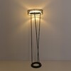 Миниатюра фото торшер lumion alva 8370/30fl черный | 220svet.ru