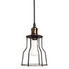 Миниатюра фото подвесной светильник loft it ancient cage loft1114 | 220svet.ru