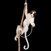 Миниатюра фото подвесной светильник loft it monkey 10314p | 220svet.ru