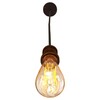 Миниатюра фото подвесной светильник loft it holder loft1153 | 220svet.ru