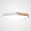 Миниатюра фото потолочный светильник imperium loft white d50 193049-26 | 220svet.ru