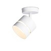 Миниатюра фото спот ambrella light techno spot techno tn71055 | 220svet.ru