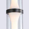 Миниатюра фото подвесной светодиодный светильник favourite bones 4245-2p | 220svet.ru