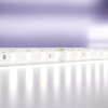 Миниатюра фото светодиодная лента maytoni led strip  24в 10147 | 220svet.ru