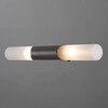 Миниатюра фото подсветка для зеркал arte lamp a2470ap-2ss | 220svet.ru