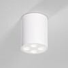 Миниатюра фото потолочный светильник elektrostandard 25111/led a067483 | 220svet.ru