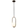 Миниатюра фото подвесной светильник loft it glob loft2595-a | 220svet.ru