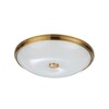 Миниатюра фото потолочный светильник odeon light pelow 4956/5 | 220svet.ru
