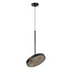 Миниатюра фото подвесной светодиодынй светильник odeon light bergi 5064/15l черный | 220svet.ru