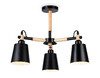 Миниатюра фото потолочная люстра на штанге ambrella light traditional tr82206 | 220svet.ru
