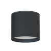 Миниатюра фото уличный светильник favourite fantum 4663-1u | 220svet.ru