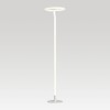 Миниатюра фото торшер lussole lsp-0920 | 220svet.ru