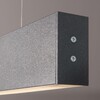 Миниатюра фото подвесной светодиодный светильник elektrostandard 101-200-30-103 a042948 | 220svet.ru