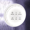 Миниатюра фото светодиодная лента maytoni led strip  24в 10173 | 220svet.ru
