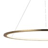 Миниатюра фото подвесной светильник loft it ring 10014l | 220svet.ru