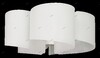 Миниатюра фото потолочная люстра lightstar simple light 811 811050 | 220svet.ru