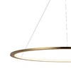 Миниатюра фото подвесной светильник loft it ring 10014xl | 220svet.ru