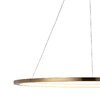 Миниатюра фото подвесной светильник loft it ring 10014xl | 220svet.ru