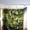 Миниатюра фото трековый светильник reluce 06612-9.3-001qy led12w wt | 220svet.ru