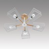 Миниатюра фото потолочная люстра на шатнге lumion irma 8246/5c белый, дерево | 220svet.ru