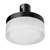 Миниатюра фото светильник однофазный трековый 48v 6w 4000k 120° lightstar due hermes 210647 | 220svet.ru