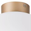 Миниатюра фото настенно-потолочный светильник lightstar globo 812033 | 220svet.ru