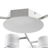 Миниатюра фото потолочная люстра lumion gareta 8235/9c белый | 220svet.ru