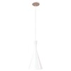 Миниатюра фото подвесной светильник loft it beat loft1844/a | 220svet.ru