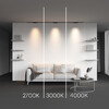 Миниатюра фото трековый светодиодный светильник maytoni points levity tr193-1-10w2.7k-m-b | 220svet.ru