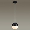 Миниатюра фото подвесной светильник odeon light pinga 4958/1 | 220svet.ru